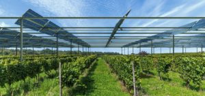 Low tech sur un Hangar agriculteur photovoltaïque