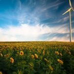 Wind mill installation in Los Angeles